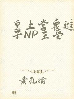 皇上当众进入太子NP主受封面