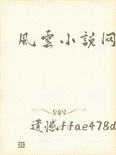 风云小说网封面