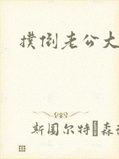 扑倒老公大人封面