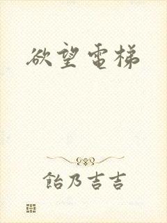 欲望电梯封面