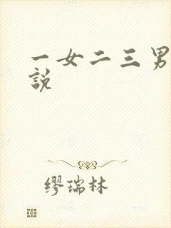一女二三男事小说封面