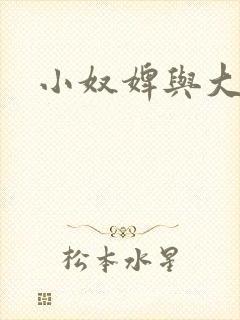 小奴婢与大少爷