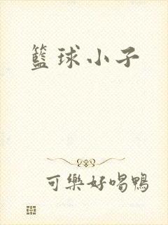 篮球小子