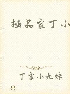 极品家丁小说