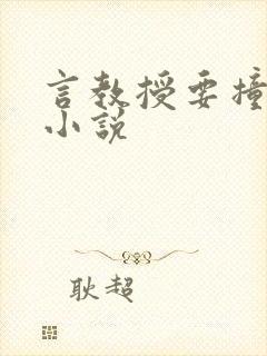 言教授要撞坏了小说