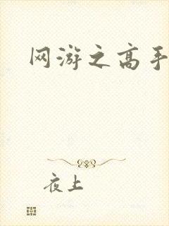 网游之高手寂寞