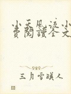 小天风流小说免费阅读全文最新章节