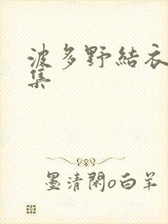 波多野结衣作品集封面