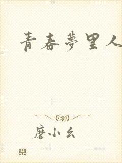 青春梦里人封面