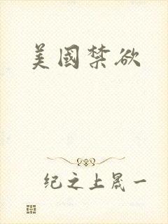 美国禁欲封面