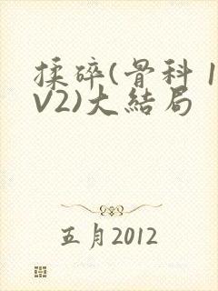 揉碎(骨科 1V2)大结局