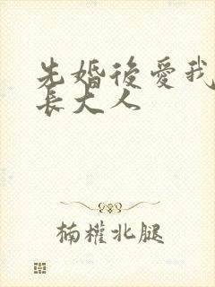 先婚后爱我的市长大人