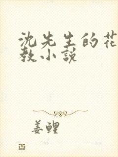 沈先生的花式调教小说