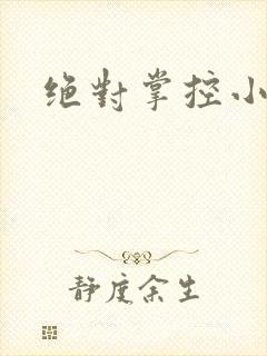 绝对掌控小说
