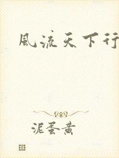 风流天下行