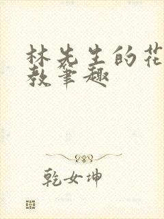 林先生的花式管教笔趣