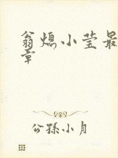 翁熄小莹最新节章