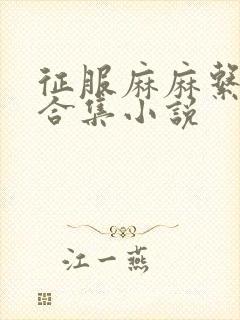 征服麻麻系列大合集小说