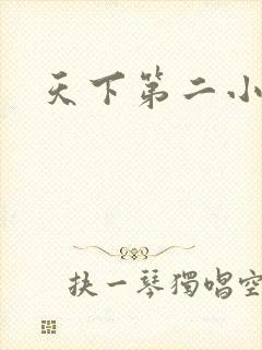 天下第二小说