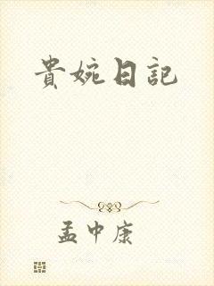 贵婉日记封面