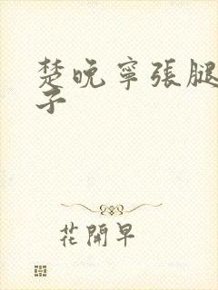 楚晚宁张腿放棋子