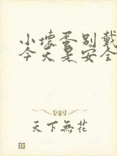 小坏蛋别戴套了今天是安全期封面