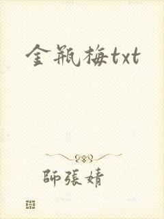 金瓶梅txt封面
