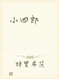 小四郎封面