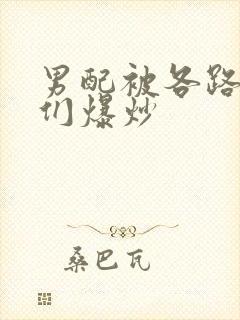 男配被各路大佬们爆炒封面