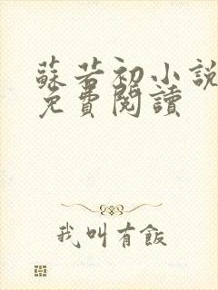 苏若初小说全文免费阅读