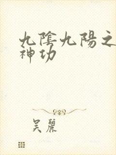 九阴九阳之阴阳神功