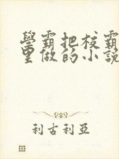 学霸把校霸往死里做的小说