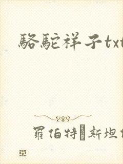 骆驼祥子txt封面