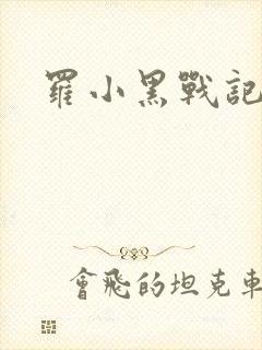 罗小黑战记小说