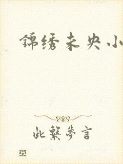 锦绣未央小说封面