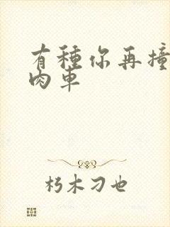 有种你再撞一下肉车