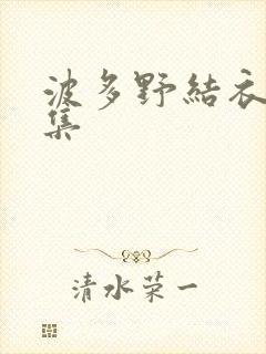 波多野结衣作品集封面