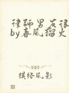 律师男友很难撩by春风榴火封面