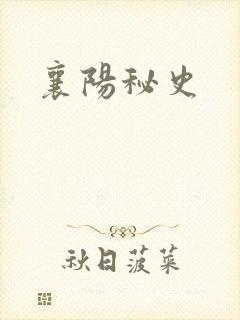襄阳秘史