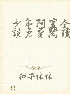 少年阿宾全文小说免费阅读笔趣阁