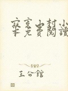 寂寞山村小说全本免费阅读