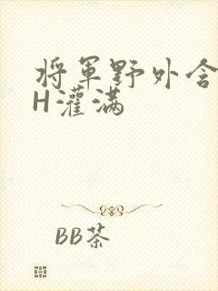 将军野外含公主H灌满封面