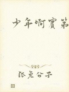 少年啊宾第二部封面