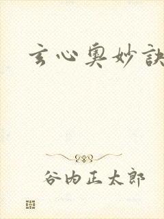 玄心奥妙诀封面