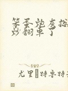 笨蛋炮灰总被爆炒翻车了