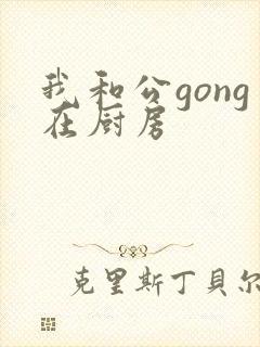 我和公gong在厨房