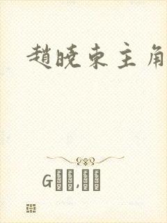 赵晓东主角小说