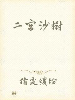 二宫沙树封面