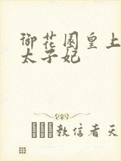 御花园皇上撞着太子妃封面