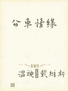 公车情缘